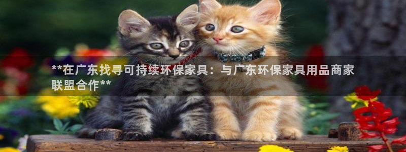 杏耀平台线路测速登录