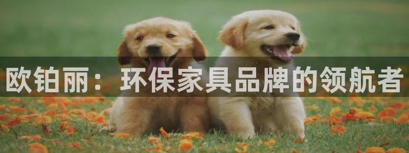 杏耀平台下载