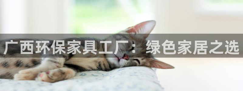 杏耀官方网