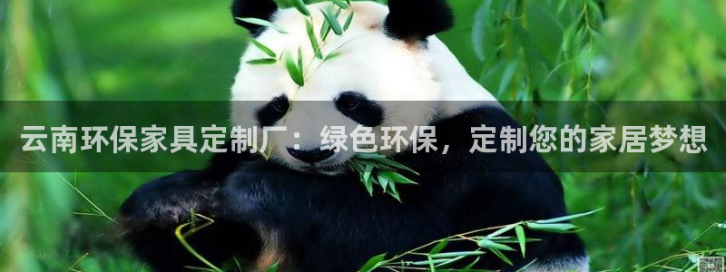 杏耀平台线路