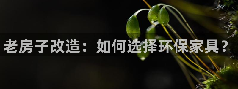 杏耀平台官方网站下载