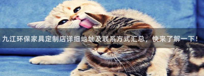 杏耀app怎样申请
