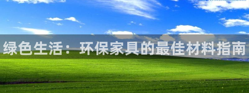 杏耀代理主管qq