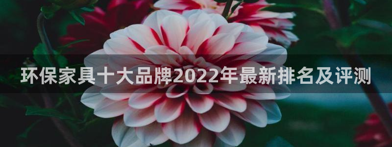杏耀代理主管qq