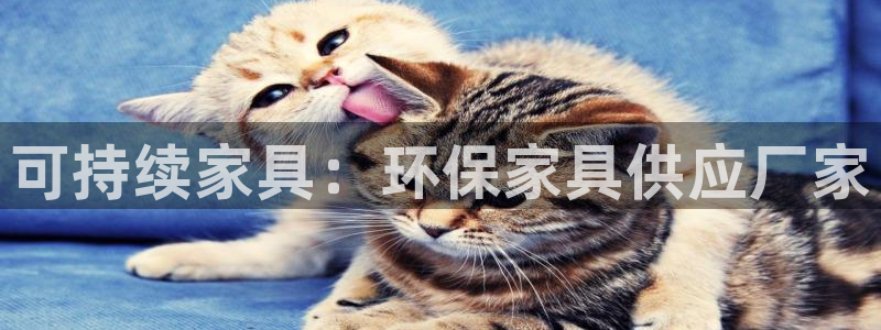 杏耀官网游戏