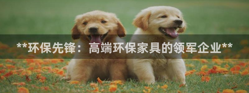 杏耀平台测速地址：**环保先锋：高端环保家具的领军企业**