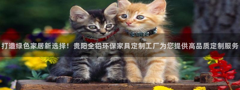 杏耀平台首页：打造绿色家居新选择！贵阳全铝环保家具定制工厂为