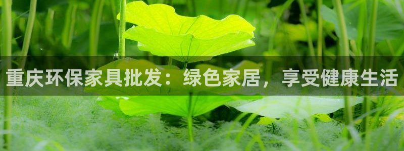 杏耀平台招商的流程