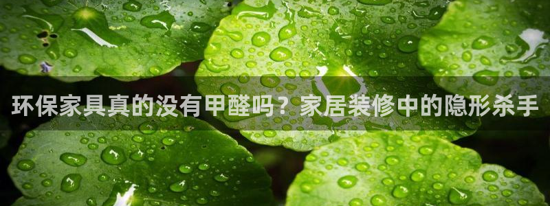 杏耀总代理：环保家具真的没有甲醛吗？家居装修中的隐形杀手