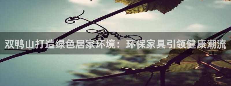 杏耀注册地址：双鸭山打造绿色居家环境：环保家具引领健康潮流