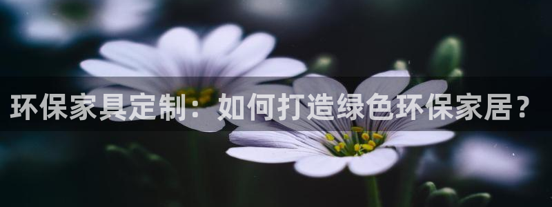 杏耀平台登陆测速：环保家具定制：如何打造绿色环保家居？