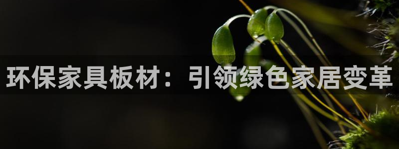 杏耀平台官方网站下载