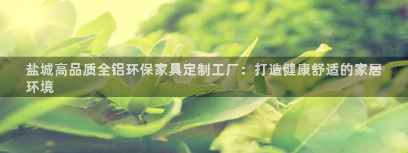 杏耀平台到底能玩吗：盐城高品质全铝环保家具定制工厂：打造健康