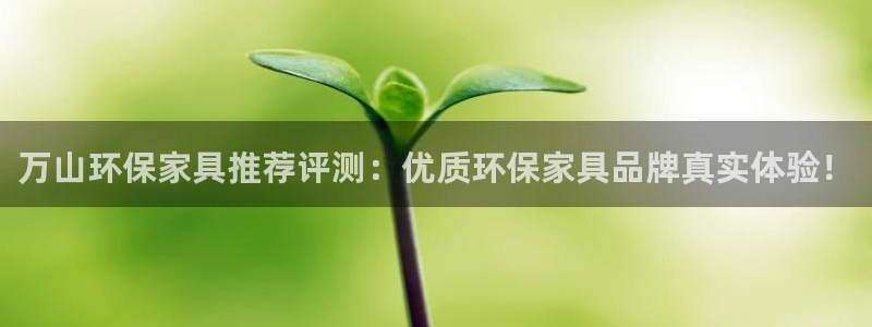 杏耀网址官网：万山环保家具推荐评测：优质环保家具品牌真实体验