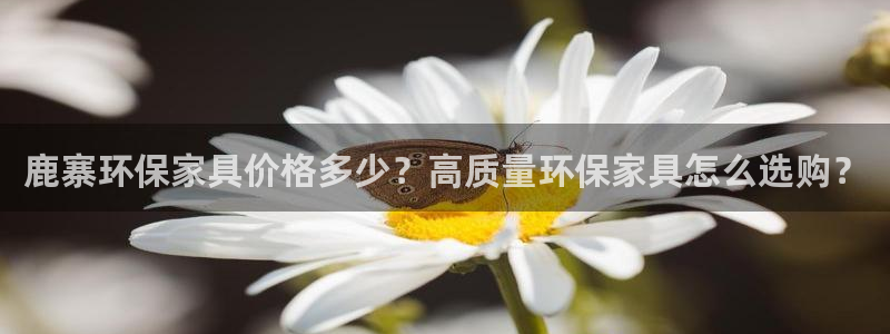 杏耀平台在哪里：鹿寨环保家具价格多少？高质量环保家具怎么选购