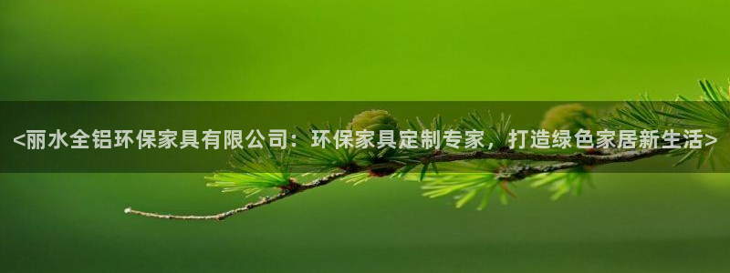 杏耀官网网站中心：<丽水全铝环保家具有限公司：环保家具定制专