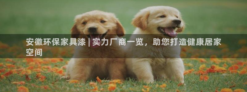 杏耀测速网址电脑版：安徽环保家具漆 | 实力厂商一览，助您打
