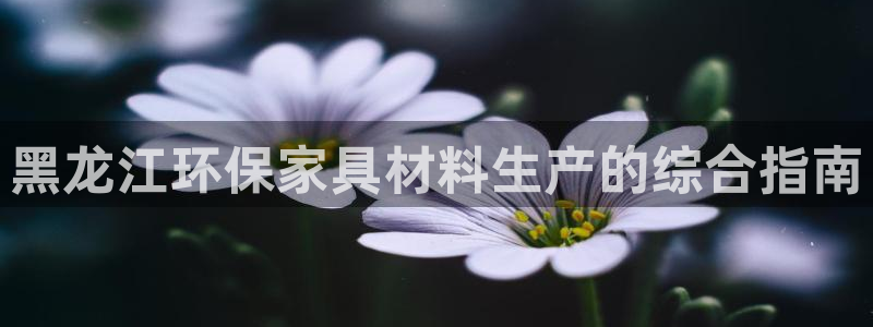 杏耀注册主管：黑龙江环保家具材料生产的综合指南